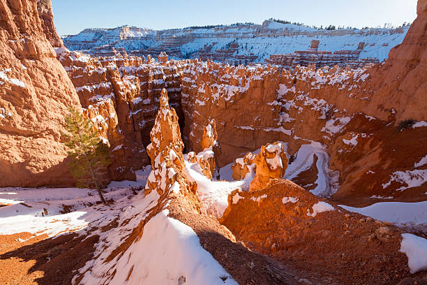 zimowy kanion bryce - usa dirt road rock sandstone zdjęcia i obrazy z banku zdjęć