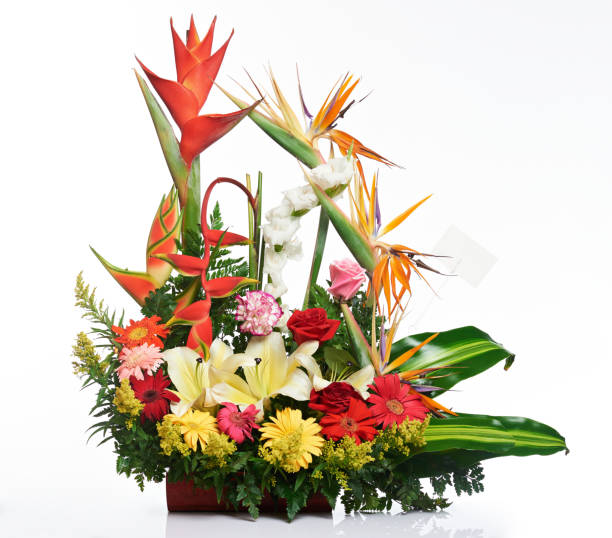istock Bright tropical flower bouquet 639070594