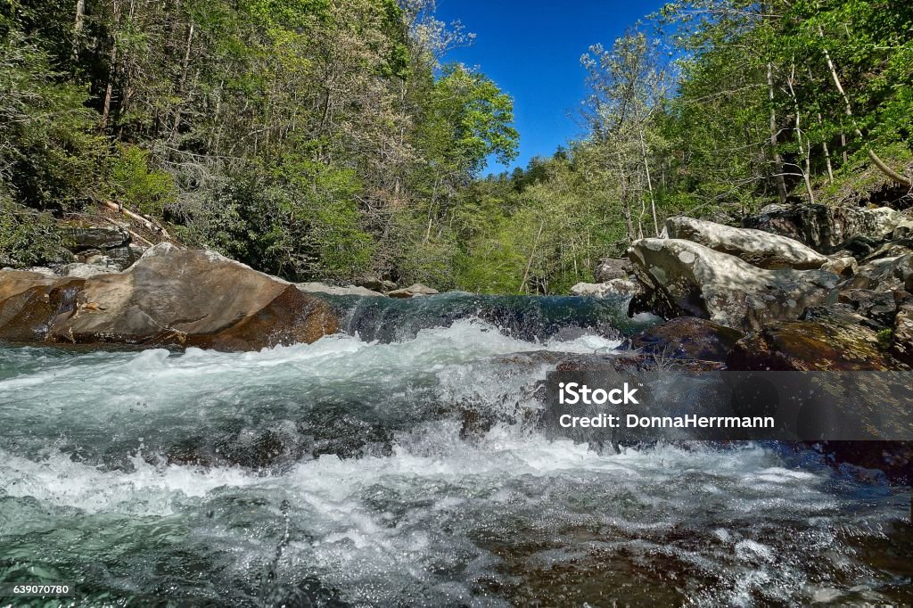 Cascada y rápidos con pinos, rocas y cielo azul - Foto de stock de Agua libre de derechos