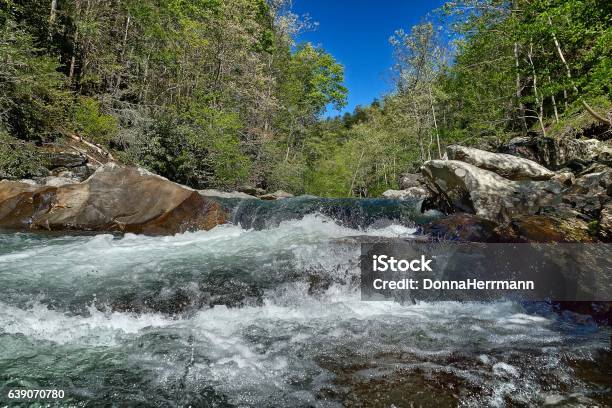 Cascada Y Rápidos Con Pinos Rocas Y Cielo Azul Foto de stock y más banco de imágenes de Agua - Agua, Aire libre, Azul