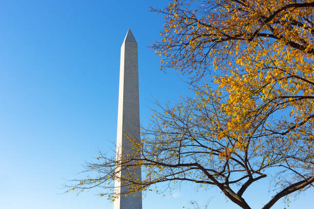 istock Sunset near National Monument in US capital. 639070876