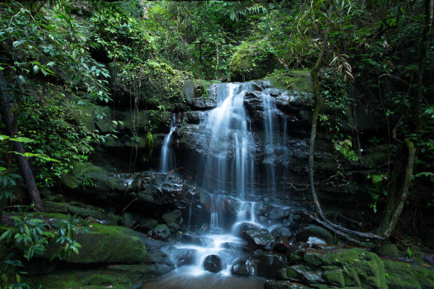 istock Waterfall In The Green Forest 639072158