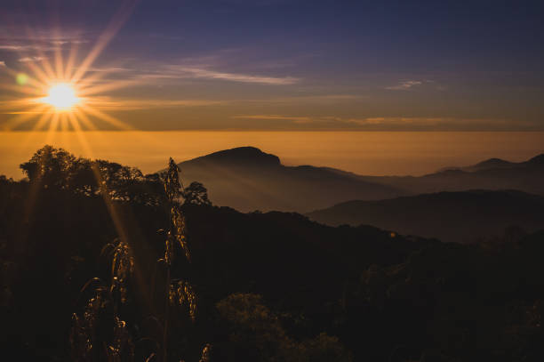 istock Tiger head Viewpoint in Chiangmai, Thailand. 639072374