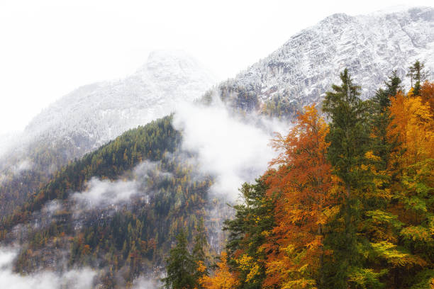 istock Snow mountain and Autumn season 639072486