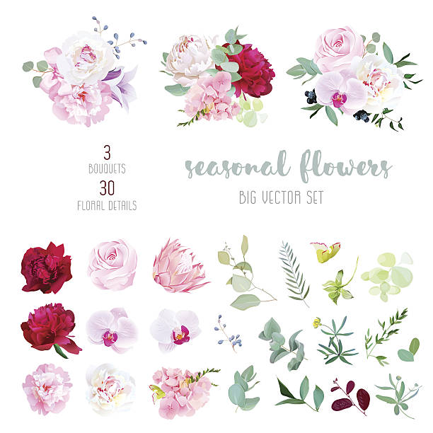 ilustrações de stock, clip art, desenhos animados e ícones de mix of seasonal flowers and plants big vector collection - orchid flower pink flower head