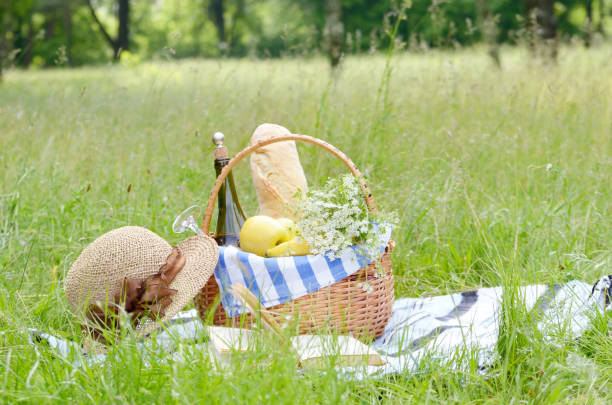 istock Picnic basket book and hat 639075428