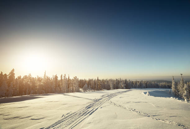 istock Fairy winter landscape with snow covered trees 639075936
