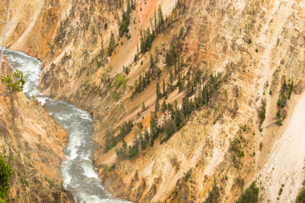 yellowstone river grand canyon du parc national du wyoming - eroded water grand canyon of yellowstone river river photos et images de collection