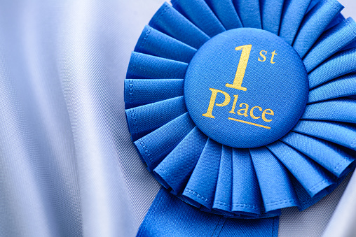 1st place blue Championship winners rosette with gold text on soft folded blue fabric with copy space