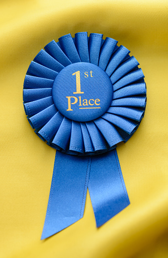 Winners 1st place championship rosette with pleated blue ribbon on gold fabric in a conceptual image of success and achievement