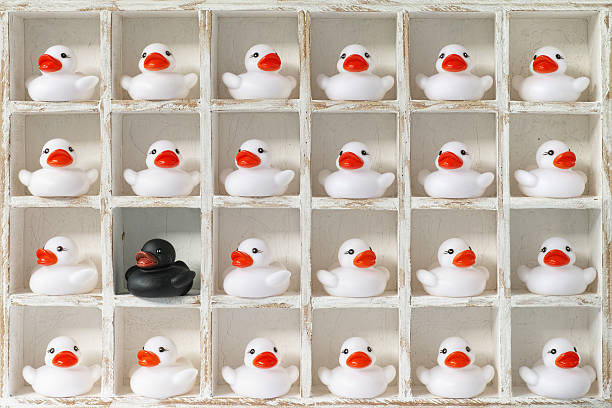 istock White rubber ducks in pigeon holes, one black duck. 639080488