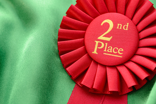 Colorful red winners 2nd place rosette to be awarded in a competition or sporting championship with pleated ribbon and gold text on a green textile background