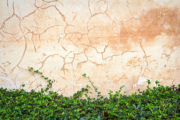 istock cracked concrete vintage wall background,old wall 639082498