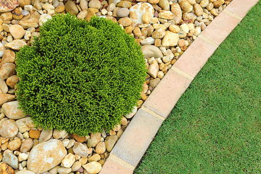 Combinations of low-maintenance plants, rocks and grass