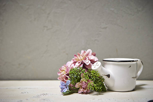 istock Flowers with watering can 639088482