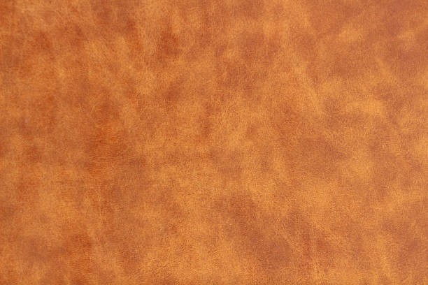 istock brown leather skin background 639091248