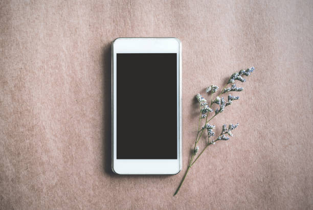 istock Smartphone with blank screen and small flower 639092444