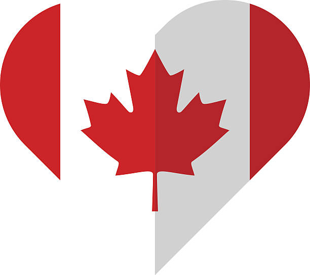 kanada płaska flaga serca - flag canadian flag patriotism national flag stock illustrations