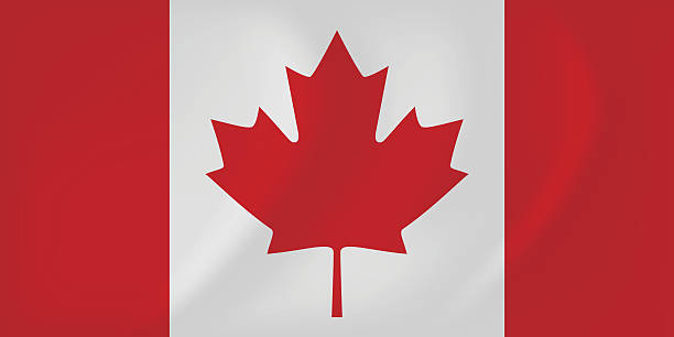 kanada wznieśmy flaga - flag canadian flag patriotism national flag stock illustrations