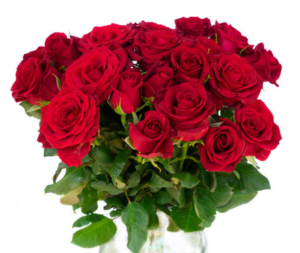 istock Red blooming roses 639094712