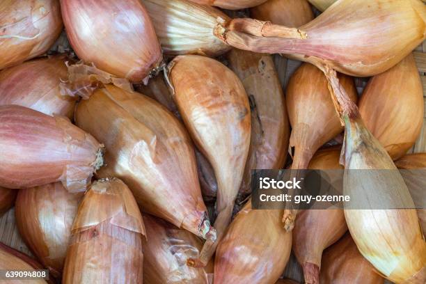 Bulk Shallots Stock Photo - Download Image Now - Condiment, Food, Food and Drink