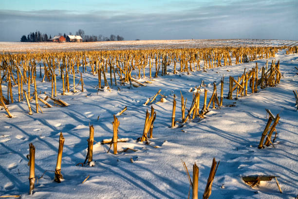 istock Snow covered field in winter 639098188