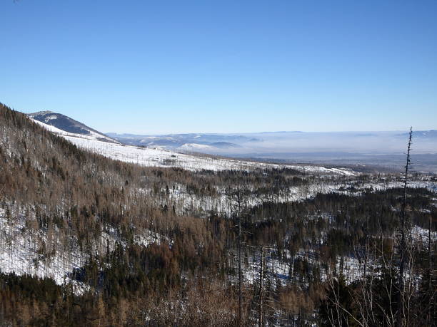 istock Beautiful winter landscape in the mountains 639100584