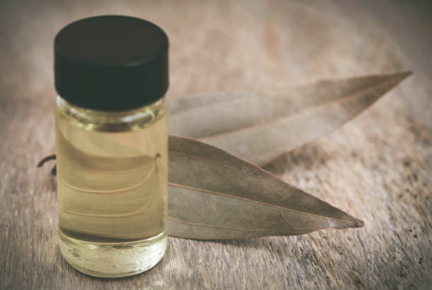 istock Bay leaves with essential oil 639103014