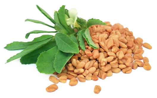 Fenugreek leaves with seeds over white background