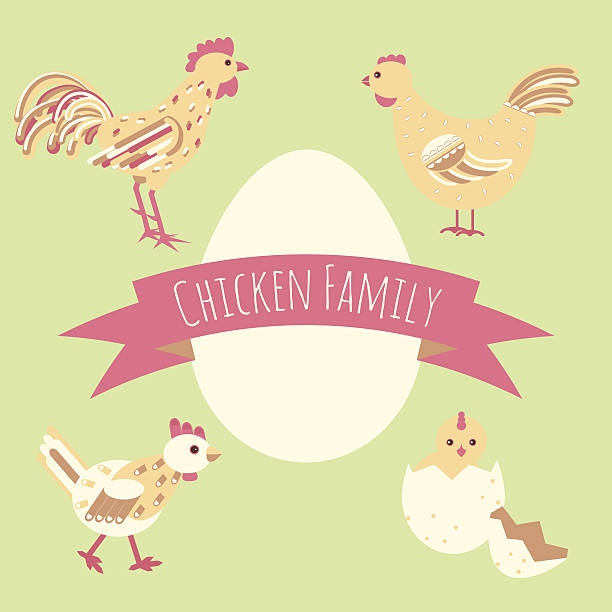 ilustraciones, imágenes clip art, dibujos animados e iconos de stock de familia de pollo alrededor de la tarjeta de huevo - chicken young bird animal egg baby chicken