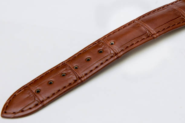 istock Alligator watch strap isolated on white 639105584