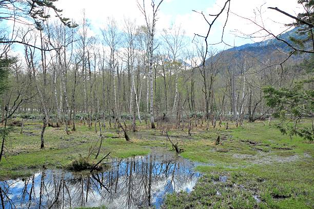 istock Kamikochi, Nagano, Japan 639105906