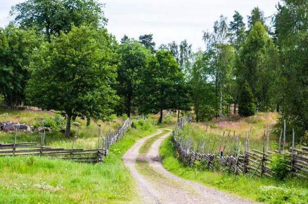 Gravel road in a rural landscape in the countryside with meadows surrounded with wooden fences in summer.