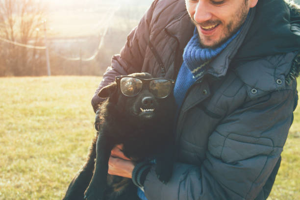 istock dog with eyeglasses in the nature 639109770