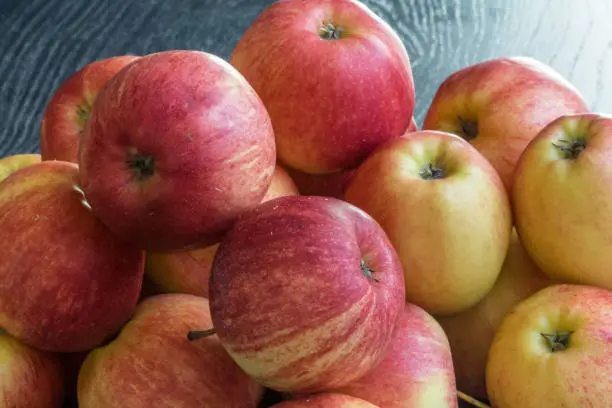 Photo of Apples of different colors on a black background