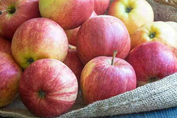 Photo of Apples of different colors in a package