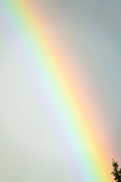 istock Large rainbow over the  sky 639114344
