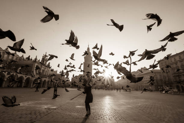istock Doves in flight over old city main square 639114848