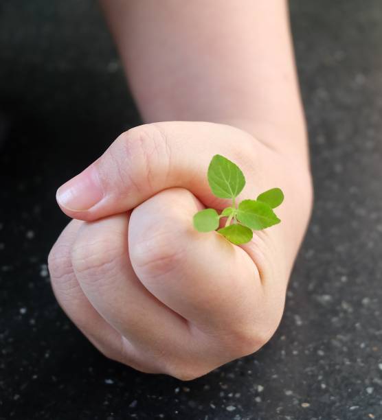 istock Hand Protecting A Green Small Young Plant 639117146