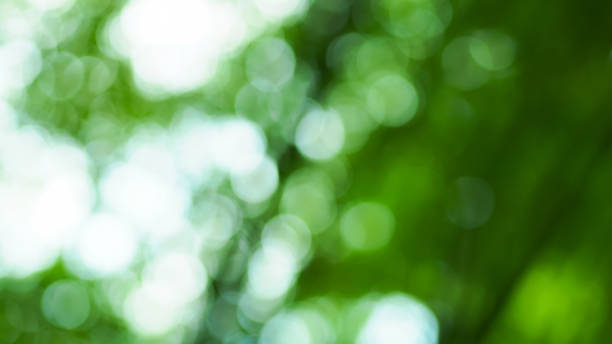 Natural bokeh abstract pattern background. stock photo