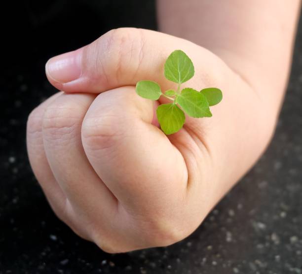 istock Hand Protecting A Green Small Young Plant 639117348