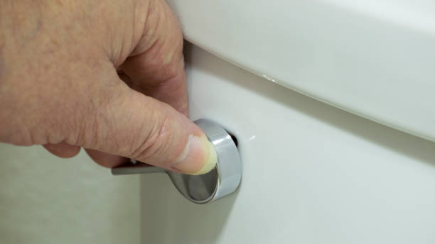 istock Hand flushing toilet 639118452