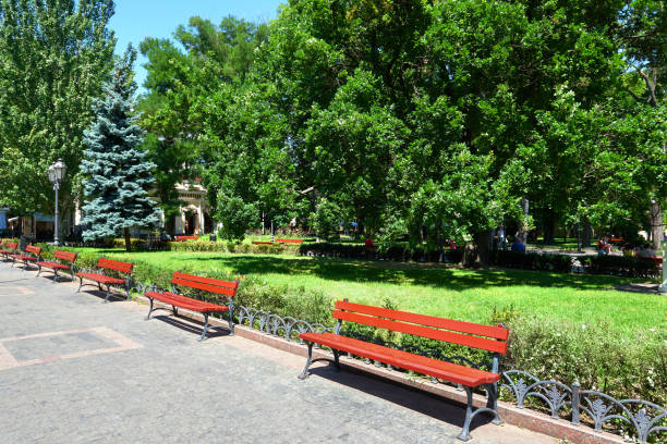 istock summer city park, bright sunny day, trees with shadows 639123016