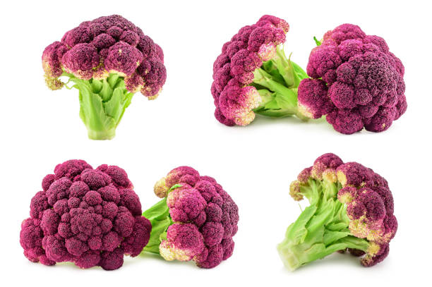 Purple italian cauliflower isolated on white