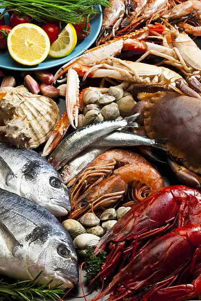 High angle view of a large group of seafood like fish, crustacean and mollusk. The composition includes two sea bream, giant red shrimp, prawn, crab, clam and scallop. DSRL studio photo taken with Canon EOS 5D Mk II and Canon EF 100mm f/2.8L Macro IS USM