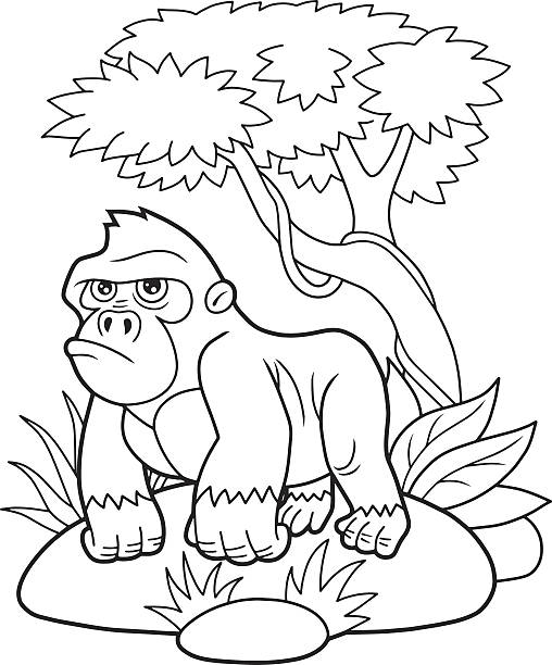 Jungle Animals Coloring Pages Pictures Illustrations, Royalty-Free Vector  Graphics & Clip Art - iStock