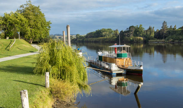 Beautiful morning on the Whanganui river shown a river steam boat.