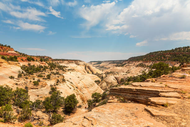 istock Deep canyon, rocks and mountains 639131608