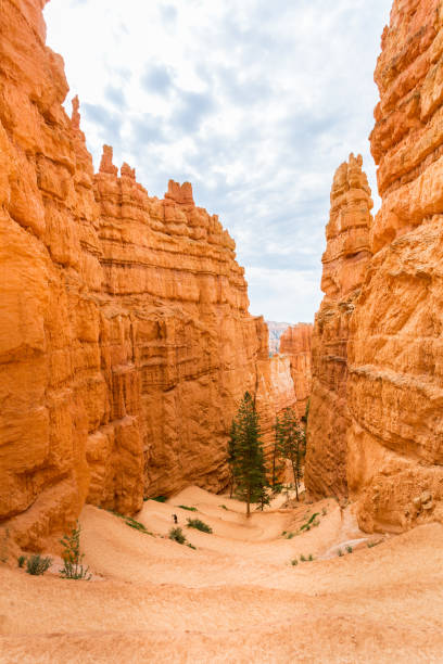 istock View from viewpoint of Bryce Canyon National Park 639133538