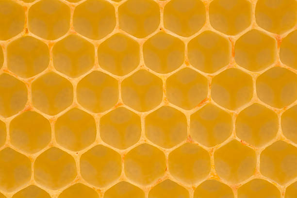 istock Honeycomb background picture 639138326